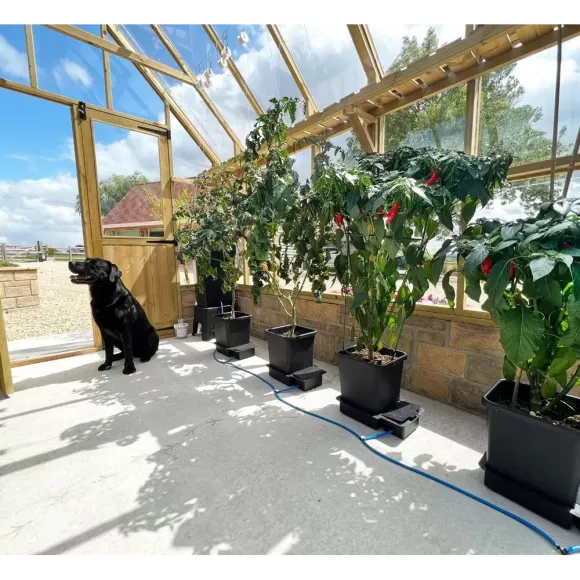 AutoPot 1Pot 3-Topf System 15L 47L kaufen