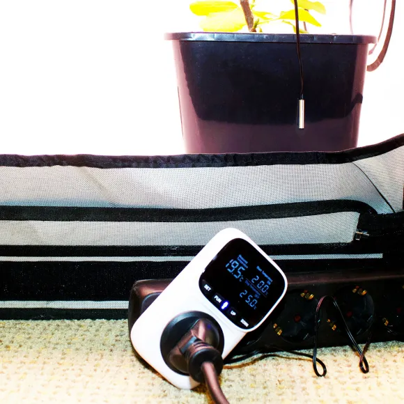 Bloomstar Horti Pro Thermostat kaufen