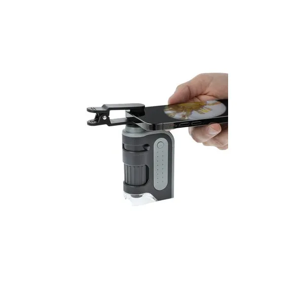 Carson MicroBrite Pro MM-350 Pflanzenmikroskop kaufen