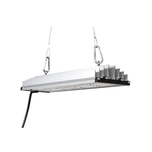 SANlight STIXX 50 LED 54W für 40x40 kaufen