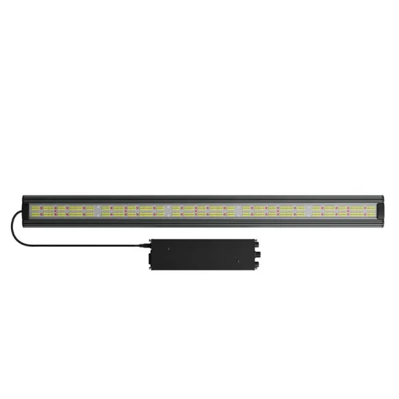 Greenception GCx 5 PWR Solo 200W kaufen