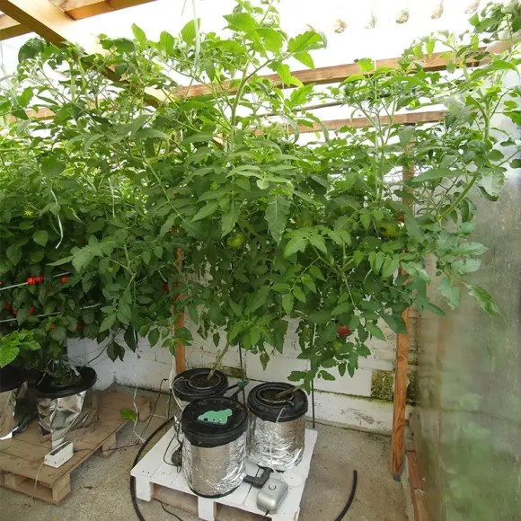 Growrilla Oxy-Pot 2 Topf DWC System kaufen