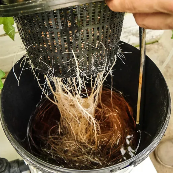 Growrilla Oxy-Pot 2 Topf DWC System kaufen