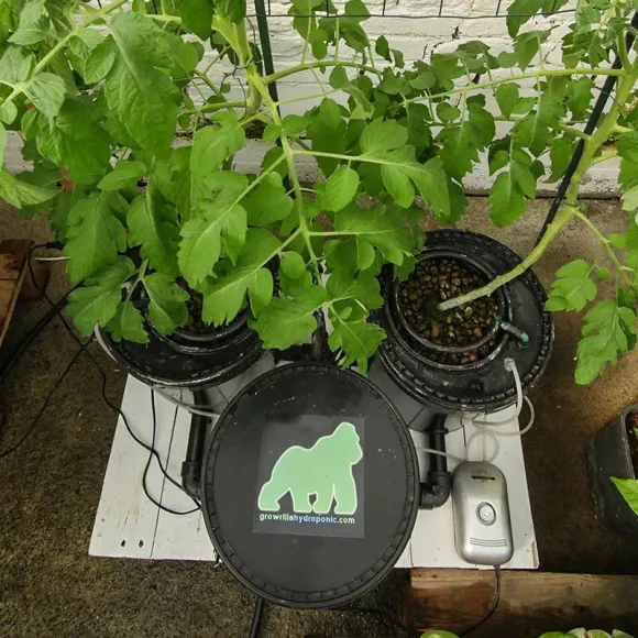 Growrilla Oxy-Pot 2 Topf DWC System kaufen