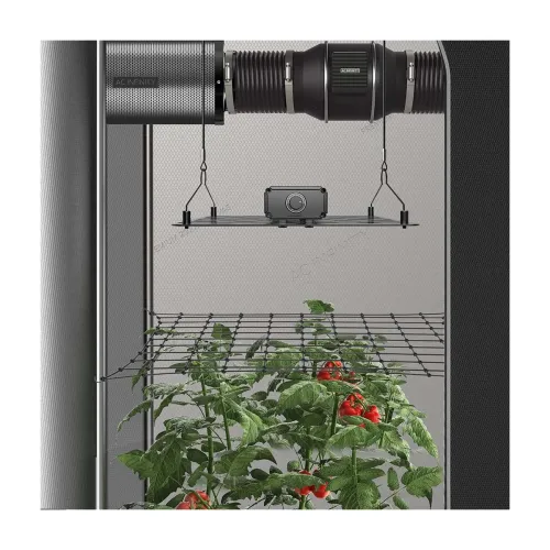 AC Infinity Scrog Netz 120x120cm für dein Grow kaufen