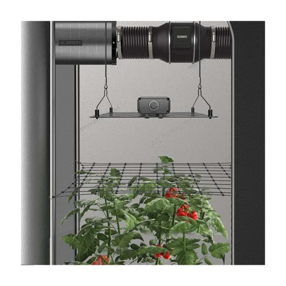 AC Infinity Scrog Netz 120x120cm für dein Grow kaufen