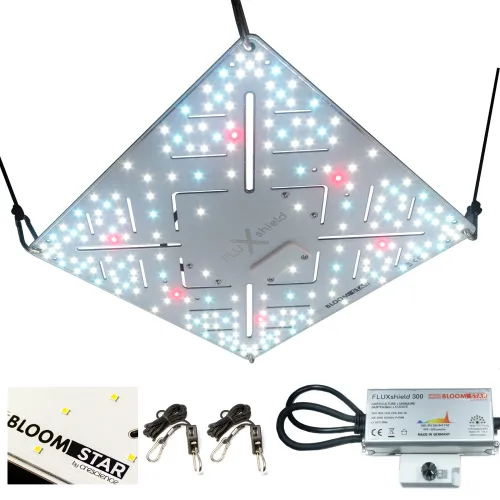 Bloomstar FLUXshield 300 110W LED 60x60cm kaufen