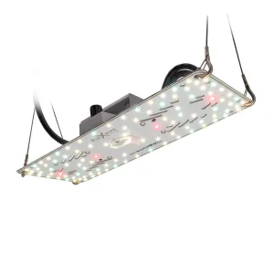 Crescience Habibi 150 LED 54W dimmbar kaufen