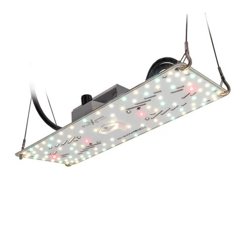 Crescience Habibi 150 LED 54W dimmbar kaufen
