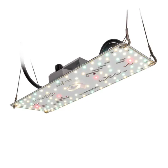 Crescience Habibi 150 LED 54W dimmbar kaufen