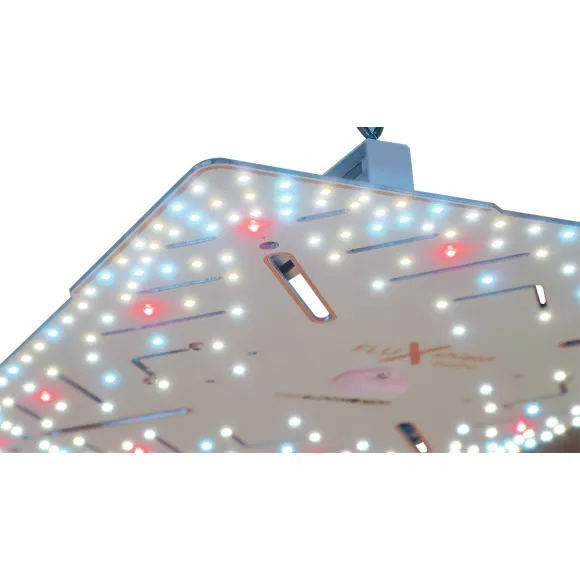 Crescence Wingcommander 900 320W LED kaufen