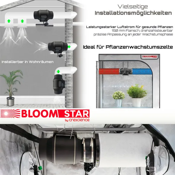 Bloomstar Horti Pro EC600 150mm 600m³/h kaufen
