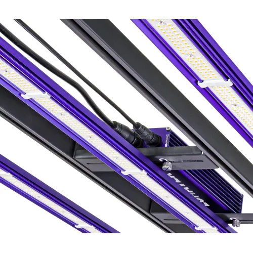 Lumatek Zeus 300W Pro 3.1 LED kaufen