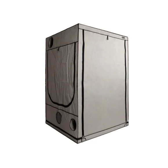 HOMEbox Ambient Q150+ 150x150x220cm kaufen