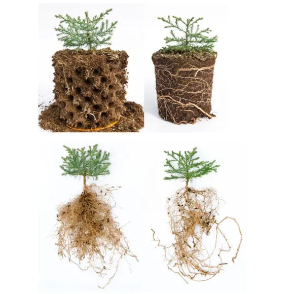 Air-Pot Superroot GEN 7 1L kaufen