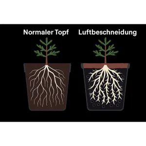 Air-Pot Superroot GEN 7 1L kaufen 2