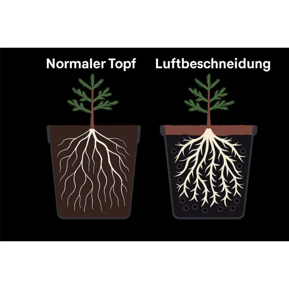 Air-Pot Superroot GEN 7 1L kaufen