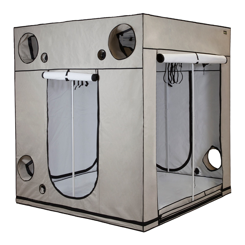 Homebox Ambient Q200+ (200x200x220cm)