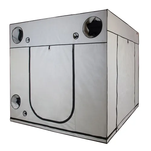 HOMEbox Ambient Q240+ 240x240x220cm kaufen