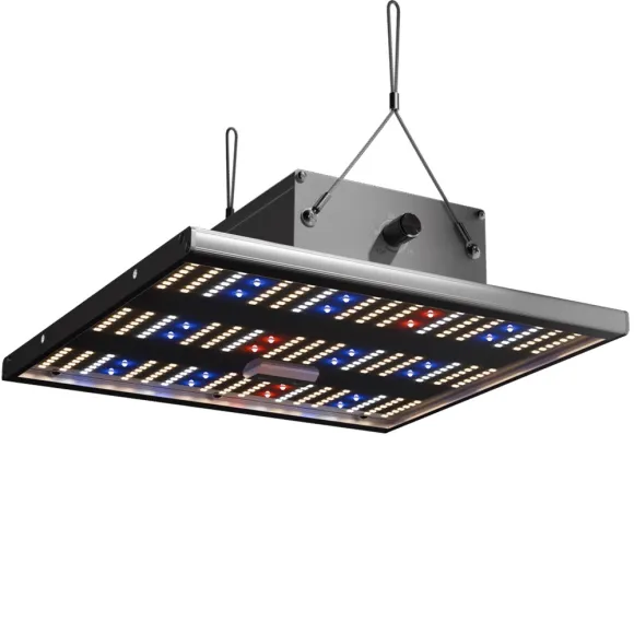 Caluma Force 75W LED 40x40cm dimmbar kaufen