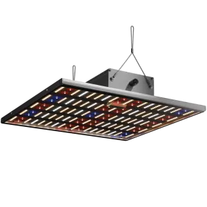 Caluma Force 150W LED für 60x60 cm kaufen