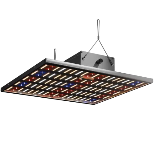 Caluma Force 150W LED für 60x60 cm kaufen