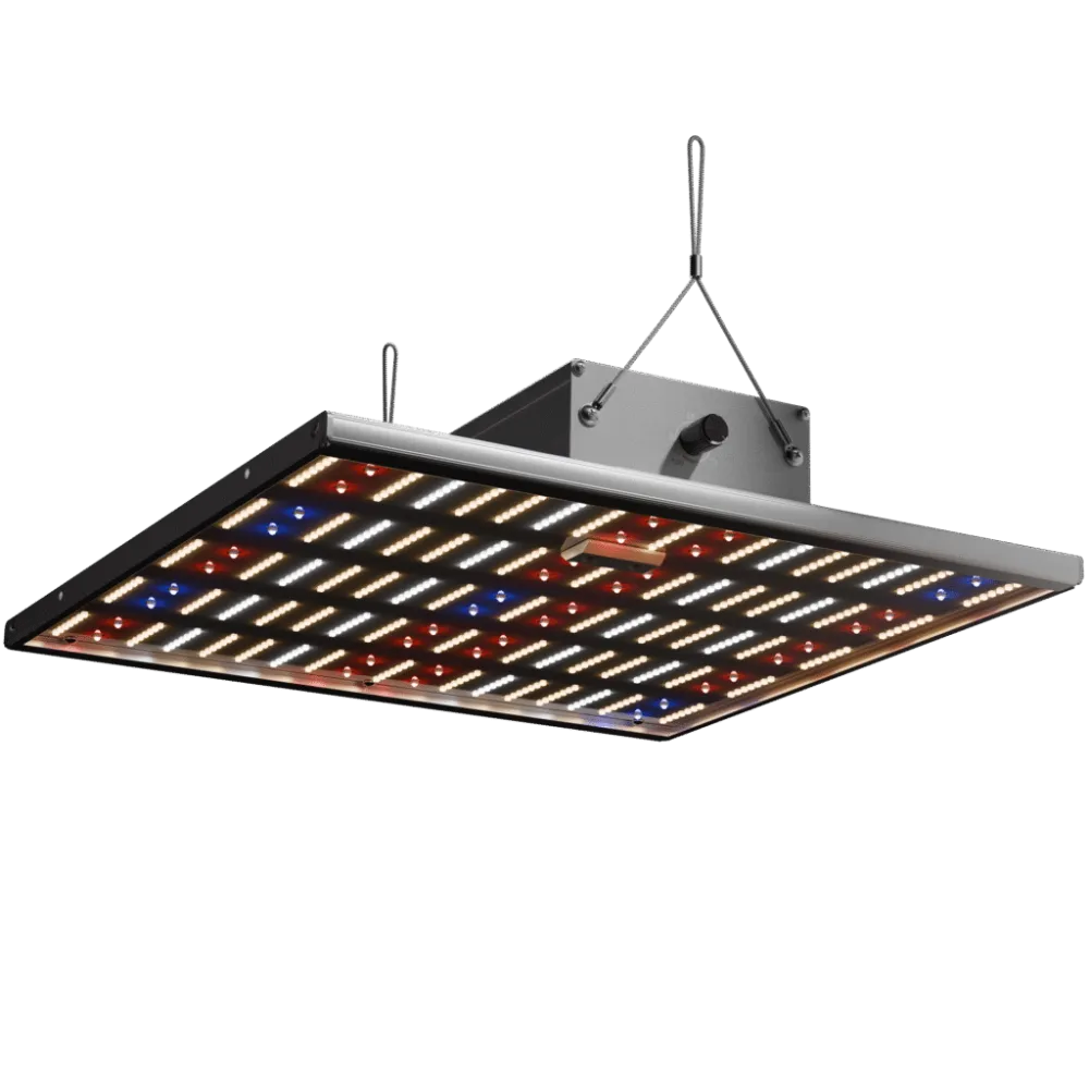 Caluma LED Force 150W