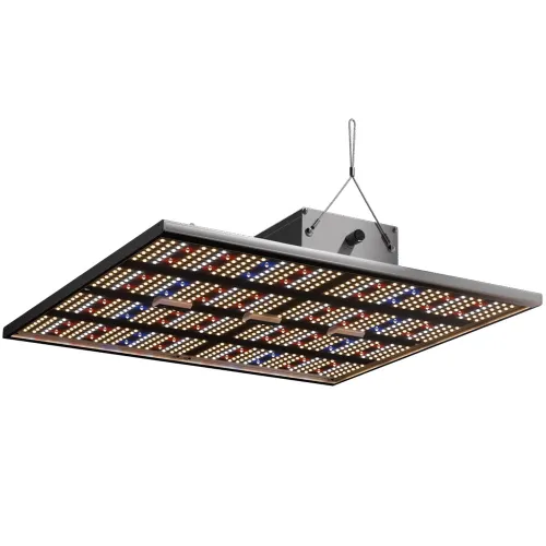 Caluma Force 240W LED 80x80cm alle Phasen kaufen