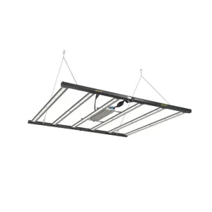 Fortis BYD 720W LED für 120x120cm Growing kaufen
