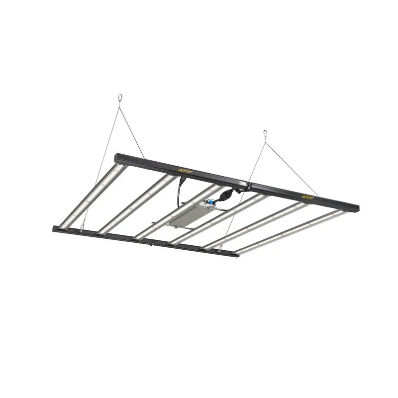Fortis BYD 720W LED