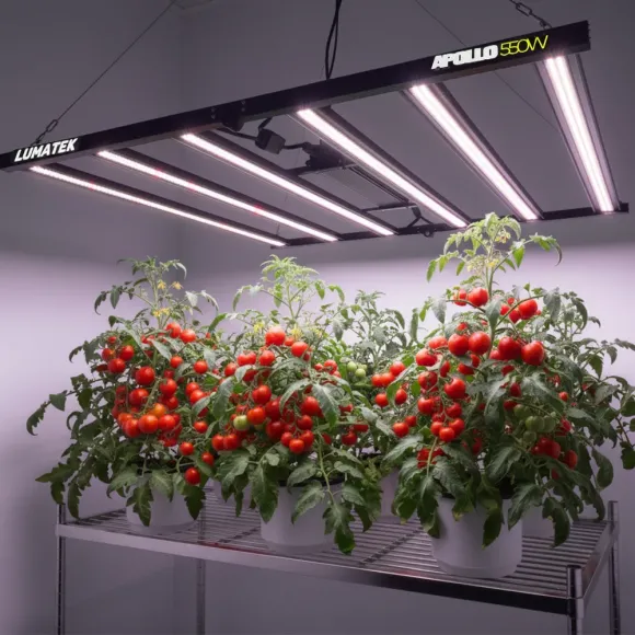 Lumatek Apollo 550W LED dimmbar 120x120cm kaufen