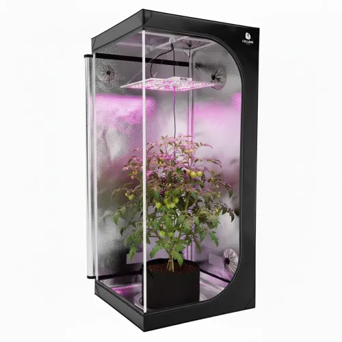 Caluma Skin 100x100x200cm Growbox kaufen