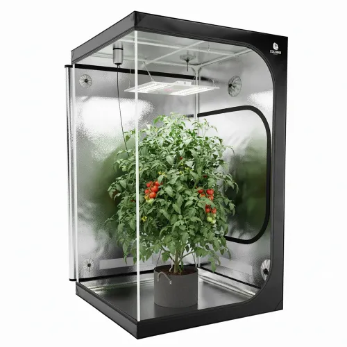 Caluma Skin 100x100x200cm Growbox kaufen