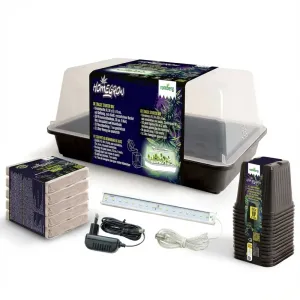 Romberg Homegrow Basic Anzuchtset kaufen