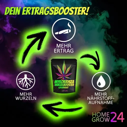 Homegrow24 Mykorrhiza Granulat 100g kaufen