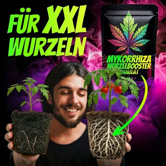 Homegrow24 Mykorrhiza Granulat 100g kaufen
