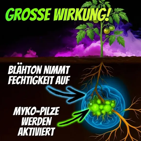 Homegrow24 Mykorrhiza Granulat 100g kaufen