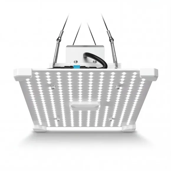 LUMii Black Blade 100W LED Pflanzenlampe kaufen