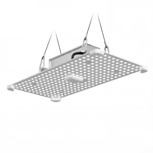 LUMii Black Blade 100W LED Pflanzenlampe kaufen 2