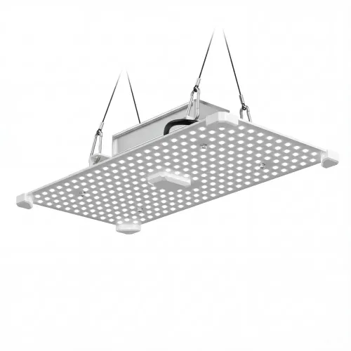 LUMii Black Blade 100W LED Pflanzenlampe kaufen