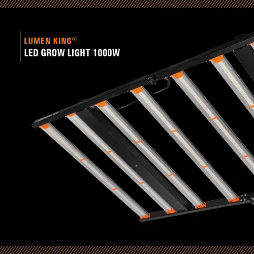 Lumen King Eco Line 1000W LED Grow Lampe kaufen