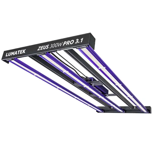 Lumatek Zeus 300W Pro 3.1 LED kaufen