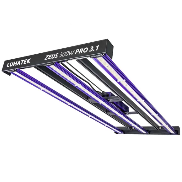 Lumatek Zeus 300W Pro 3.1 LED kaufen