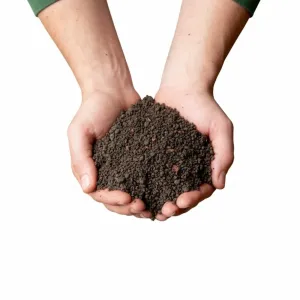 Sonnenerde Bio Schwarzerde 20L für Pflanzen kaufen 2