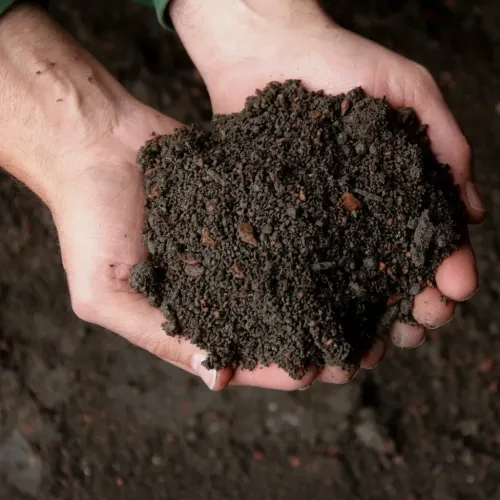 Sonnenerde Bio Schwarzerde 20L für Pflanzen kaufen