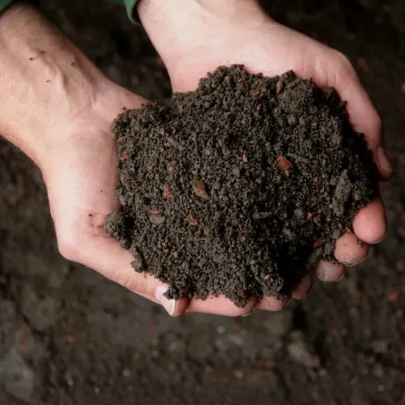 Sonnenerde Bio Schwarzerde 20L für Pflanzen kaufen