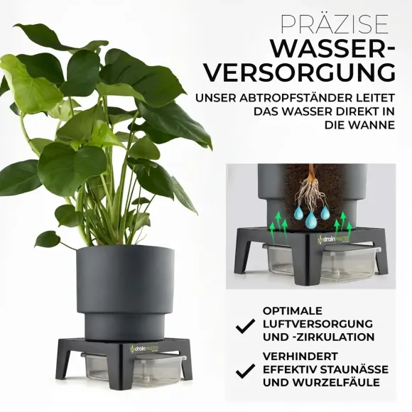 DrainMaster inkl. Wanne - Runoff sauber sammeln kaufen