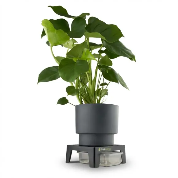 DrainMaster inkl. Wanne - Runoff sauber sammeln kaufen