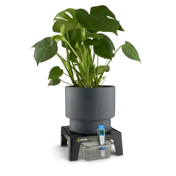 DrainMaster inkl. Wanne - Runoff sauber sammeln kaufen