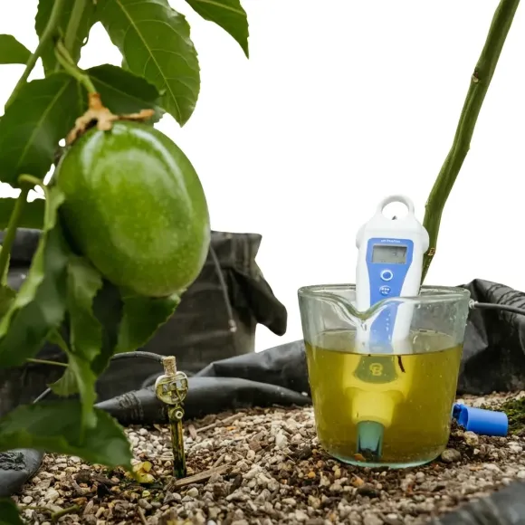 Bluelab PH Pen Plus austauschbare Sonde kaufen